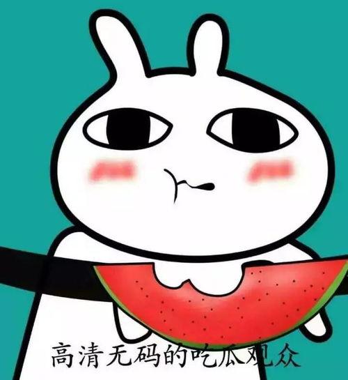 吃瓜观众的意思,揭秘吃瓜群众背后的真相与趣味