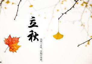 立秋吃瓜俗语,探寻传统俗语的智慧与魅力