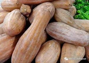 扁方瓜怎么吃,探索美味与营养的完美融合
