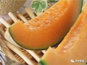 我说吃瓜哈密瓜,尽享哈密瓜的甘甜与清凉