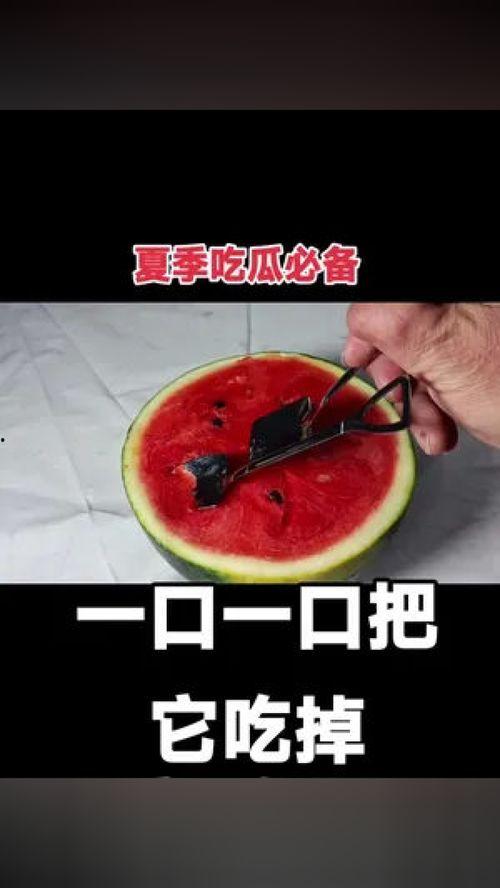 小说吃瓜仪式,揭秘小说中的独特“吃瓜仪式”